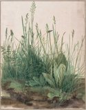 Great Art : Albrecht Durer.