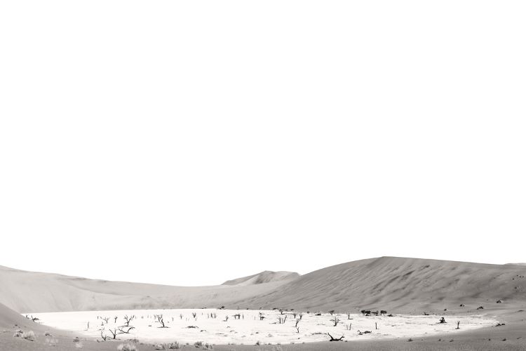 Dead Vlei panorama, Namib desert