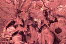 Sculpture IR