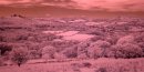 Dartmoor IR (Hound Tor on left)