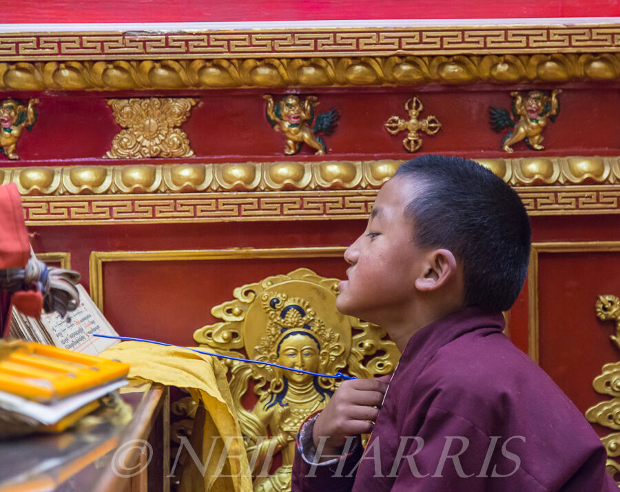 Novice monk reciting prayers