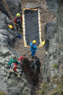 PONY RESCUE 17