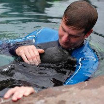 SEAL PUP SWIMMING LESSON 10