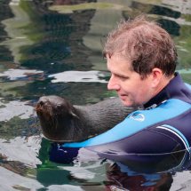 SEAL PUP SWIMMING LESSON 13