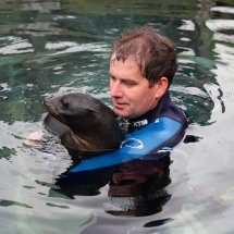 SEAL PUP SWIMMING LESSON 14