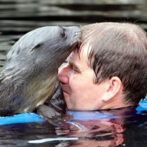 SEAL PUP SWIMMING LESSON 15