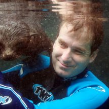 SEAL PUP SWIMMING LESSON 3