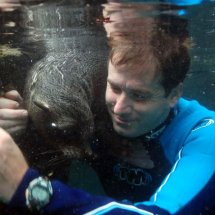 SEAL PUP SWIMMING LESSON 4