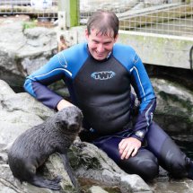 SEAL PUP SWIMMING LESSON 9