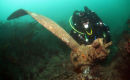 WW2 WARPLANE WRECK 14