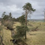 Auchencorth Moss 1 copy