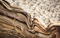 The Bristol Record Office, Blitz book