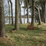 Clubiedean Reservoir
