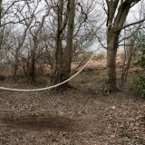 Rope Woods 2 desat
