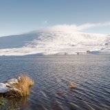 Threipmuir 4