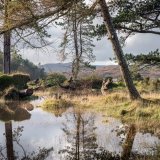 Tioram floods 2