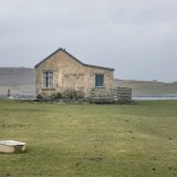 DSF2012 Burra Pink house copy