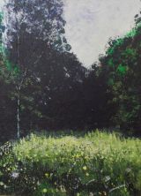 Gardens at Fountain Abbey