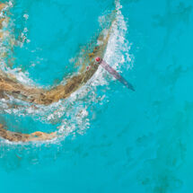 Last Land. Last Light.