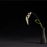 Mostly Black, (with a Hint of Green)