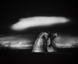Cloud over The Kelpies, Falkirk