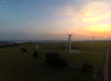 Wind farm at sunset