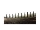 Groyne Replacement