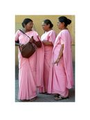 313 Pink Sari's