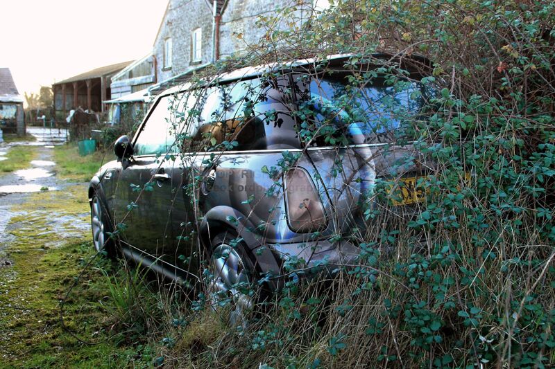 Now available in ‘BRAMBLE’.