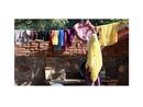 429 Wash Day
