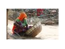 494 Basket Weaver