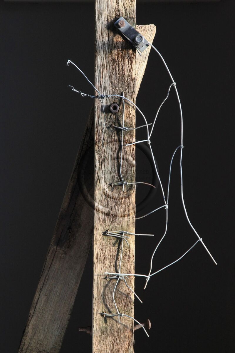 Which side of the fence ?