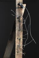 Which side of the fence ?