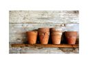 GLO Potting Shed