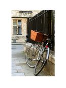 OXF New College Lane Bicycle