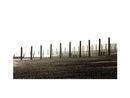 SUS Groyne Replacement