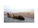 SUS Timber Wreck