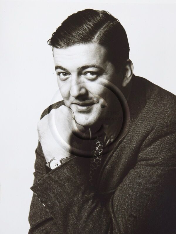 Stephen Fry. Actor, broadcaster, comedian, director, narrator and writer.