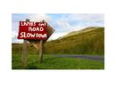 YKS Lambs Ont Road