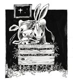 Whose the new boy in the manger?