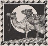 Camels silhouetted