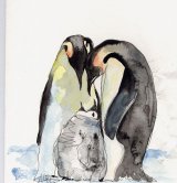 emperor penguins inspect1