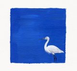 Little Egret on Blue