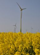Conisholme Fen Wind Farm, Lincs