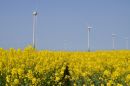 Conisholme Fen Wind Farm, Lincs