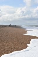 Cley beech