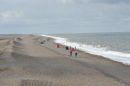 Cley beech