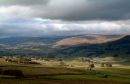Wensleydale