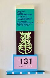 What Art Is 120x60cm (2026)