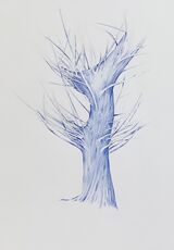 Tree Study